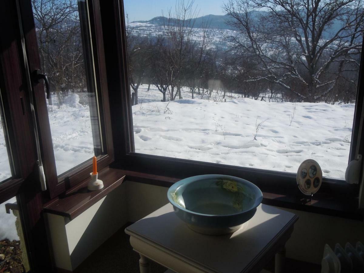 Cottage Poe Poienari Экстерьер фото