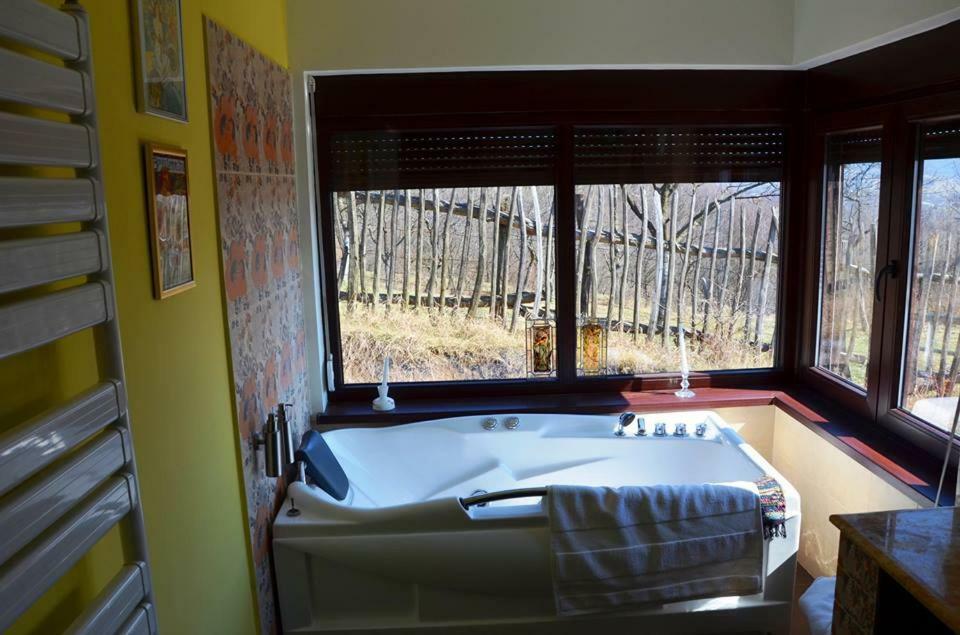 Cottage Poe Poienari Экстерьер фото