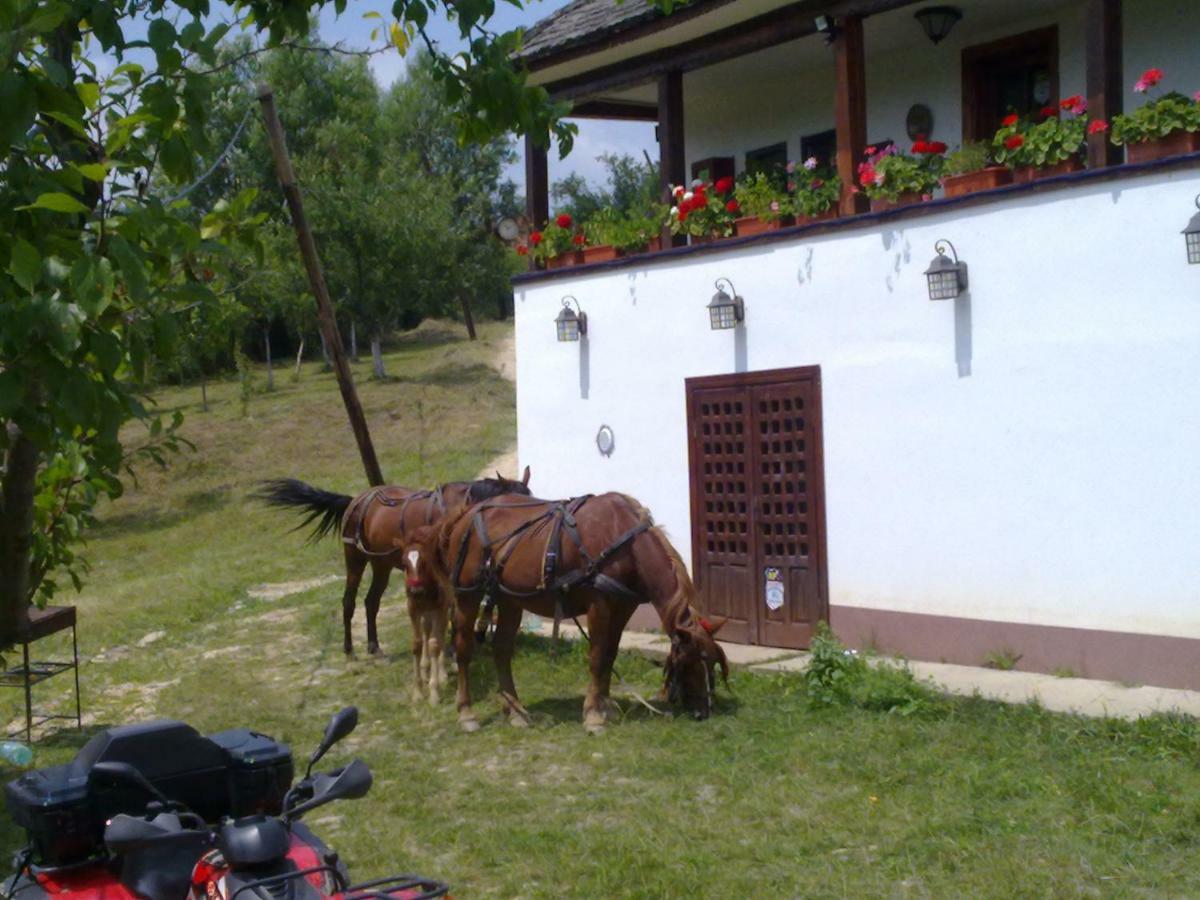Cottage Poe Poienari Экстерьер фото
