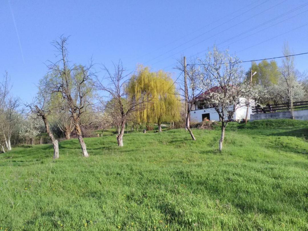 Cottage Poe Poienari Экстерьер фото